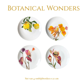 Botanical Wonders - Set van 4 ontbijtborden  B-keus
