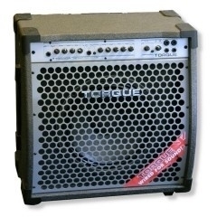 Torque T1002GR 100 Watt Twin Reverb Gitaar Combo.