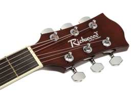 Richwood Artist Series akoestische gitaar NT