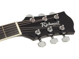 Richwood Artist Series akoestische gitaar BK