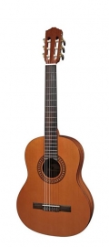 Salvador Cortez Solid Top Artist Series klassieke gitaar CC-22-JR