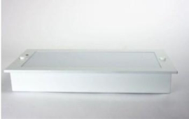 Nood / Vluchtweg armatuur DL820
