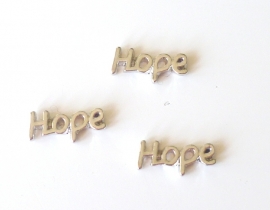 FC-hope-zi