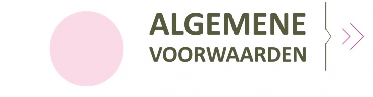 Header algemene voorwaarden.jpg