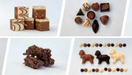 Chocolade workshop 2 - 13/11 VOL