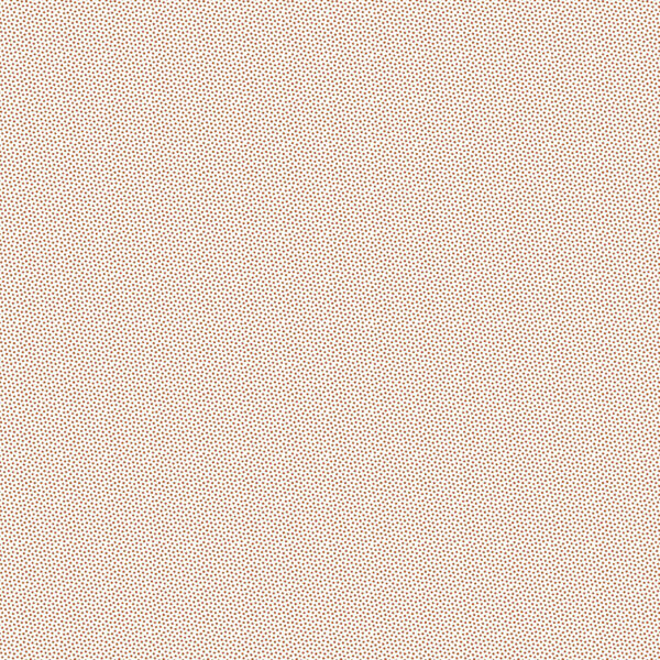 Pindot DHER 1503 pumpkin