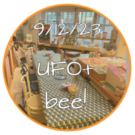 UFO Bee+ 9 december 2023