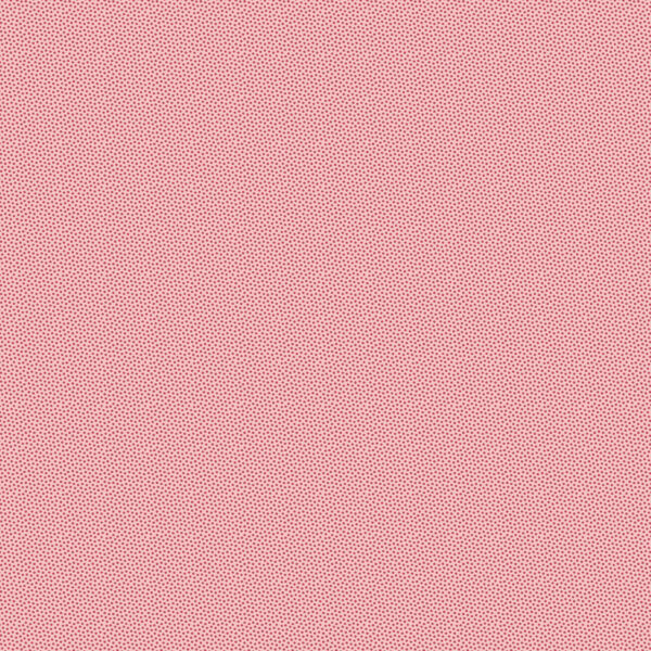 Pindot DHER 1503 camelia