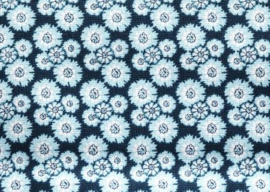 Hindelopia 1