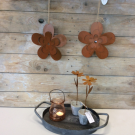 Bloem in pot
