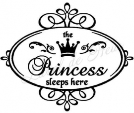 The princess sleeps here