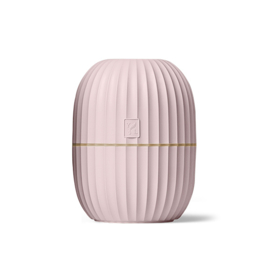 Cactus Diffuser Pink