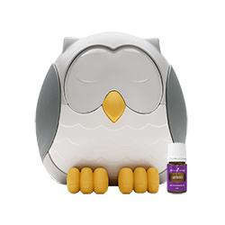 Feather the owl / Uil diffuser