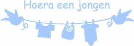 Hoera een jongen - waslijn