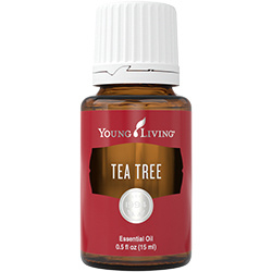 Young Living - Tea Tree- 5ml of 15ml