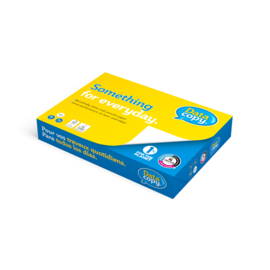 Datacopy 80 gram A4 4 gaten  pallet 200 pakken