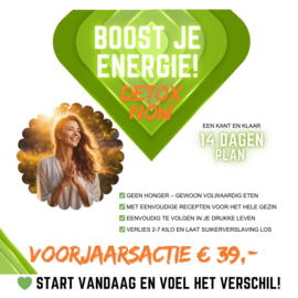 Basis Online Detox cursus
