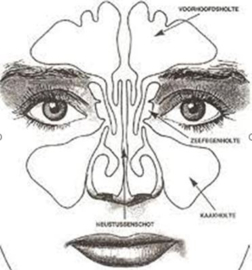 Neusolie voor neus reflexologie