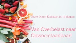 Online Detox cursus