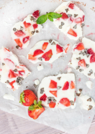 Frozen yoghurt repen (snack)