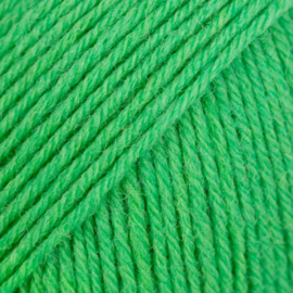 Fabel 118 Papegaai Groen