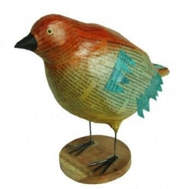 Rood/oranje vogel