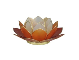 lotus waxinelicht klein mix rood