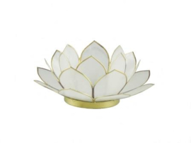 waxinelicht lotus klein wit