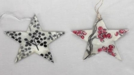 Kerstster met rode bessen