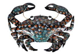 krab van metaal in grijs en turquoise