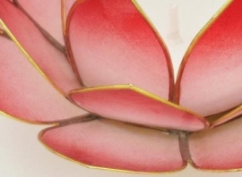 Waxinelicht  lotus klein rood