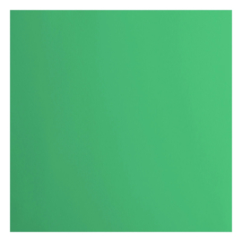 Florance cardstock  lime  2928-068