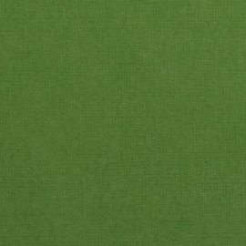 Florance cardstock  grasshopper  2928-069