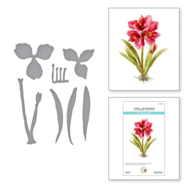 Spellbinders Amaryllis snijmal -  Susan's Garden Collectie