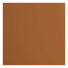 florence acacia cardstock glad  2928-079 florence