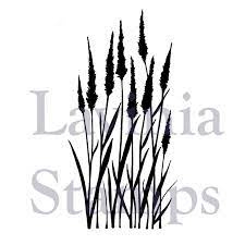 Lavinia stamp meadow grass