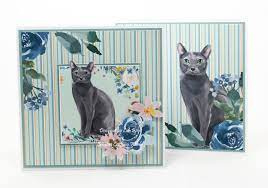 the paper boutique it's cat's life insert collection