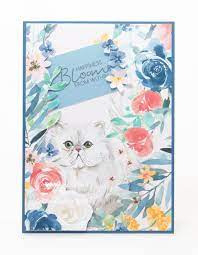 the paper boutique it's cat's life insert collection