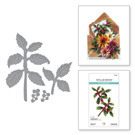 Black Alder Snijmal – Natuurlijke wintertak uit Spellbinders Susan's Garden Collectie