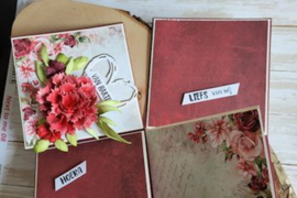 3 april fan fold card met de pom pom Dahlia and ladybugs