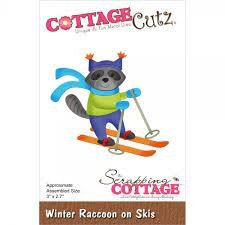 winter raccoon on ski's
