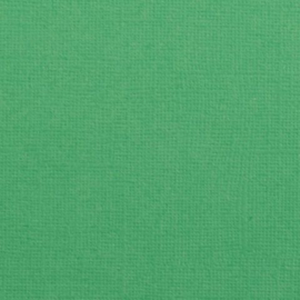 sage 2928-059 cardstock