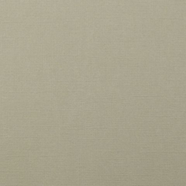 florence  mouse cardstock met textuur  2928-083