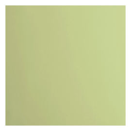 Florance cardstock  lime  2928-068