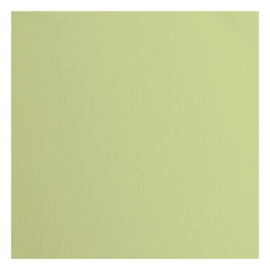 florence acacia cardstock glad  2928-079 florence
