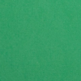 florence  holly 2928-076 cardstock structuur glad