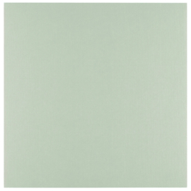 Florance cardstock  lime  2928-068