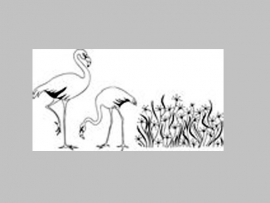 Clarity stamp  flamingo' s en gras stempelset  27