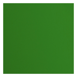 Florance cardstock  lime  2928-068