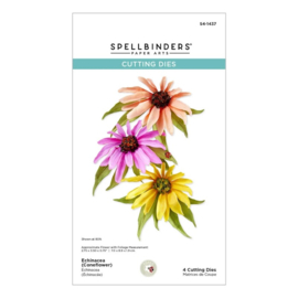 Spellbinders Echinacea Snijmallen – Maak een realistische 3D Coneflower